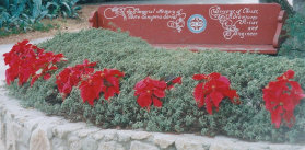 cwna003009.jpg